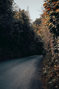 道路