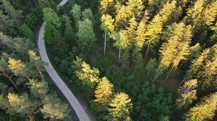 公路