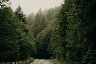 公路