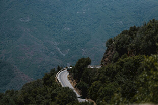 道路