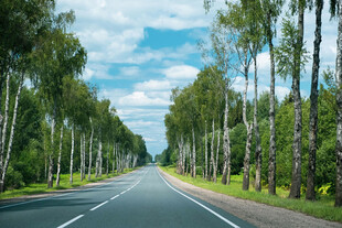 道路