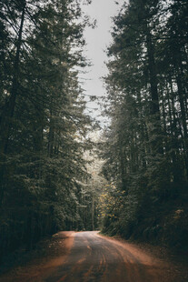 道路