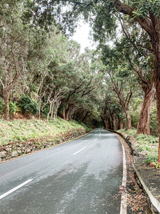 公路景观