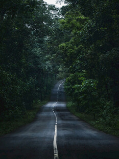 道路