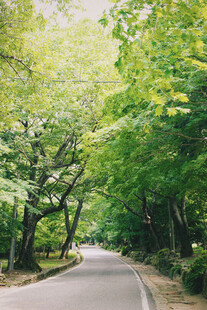 公路