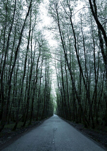 公路