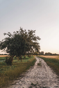 公路景观