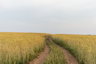 公路景观