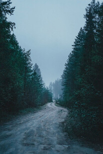 公路景观