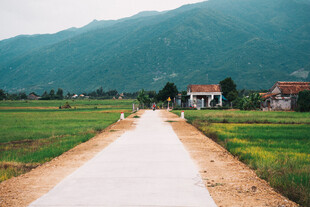 道路