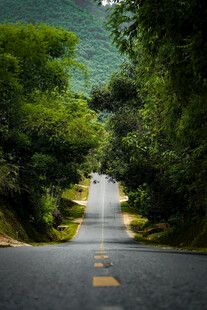 道路
