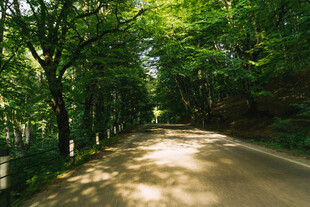 道路