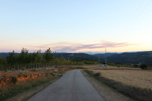 公路景观