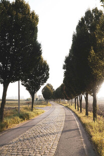 公路景观