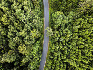 道路