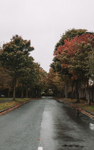 公路景观