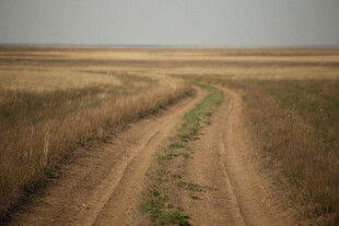 公路景观