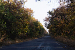 道路
