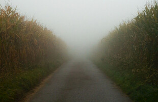 道路