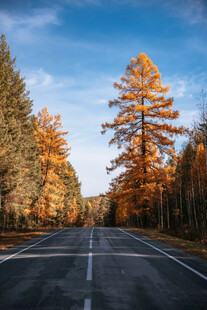 公路