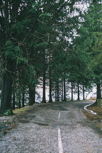 道路
