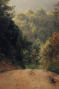 公路景观