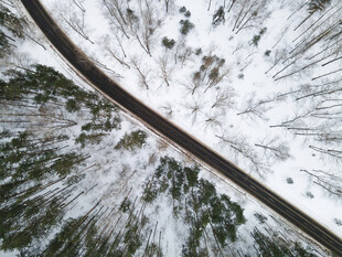 道路