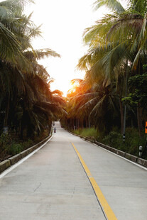 公路景观