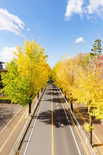 道路