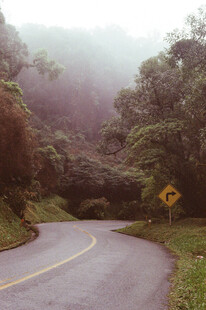 道路