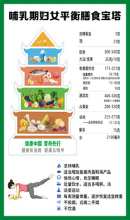 膳食宝塔