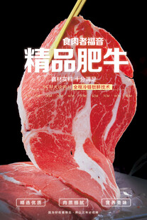 精品肥牛宣传海报