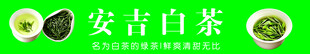 安吉白茶宣传标识