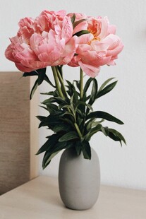 瓶中粉色芍药花束