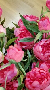 郁金香花束