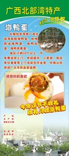 北部湾海鸭蛋