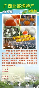 广西北部湾海鸭蛋