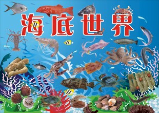 海底世界主题插画