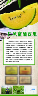 富硒西瓜展架