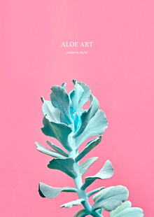 粉底清新蓝调绿植