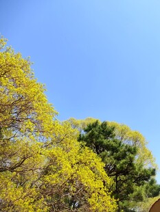 仰望秋季的天空