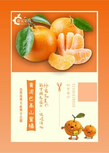 三明黄泥巴高山蜜橘