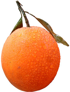橙子