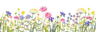 野花草图素材
