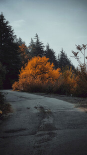 公路