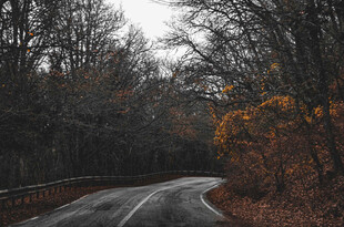 公路景观