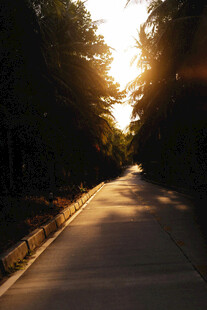 道路