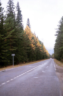 道路