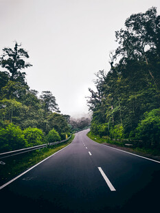 道路