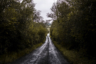 道路